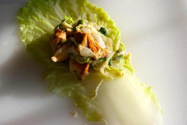 Chinakohlroulade mit Pfifferlingen - goats.today